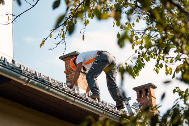 Best Gutter Installation and Roofing  in Unalaska, AK