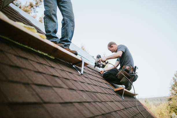 Best Roof Gutter Cleaning  in Unalaska, AK